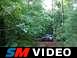 Dawson Forrest 008.avi